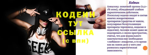 дурь Инта