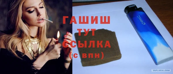 соль ск Инсар