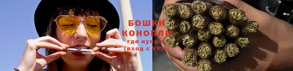 дурь Инта