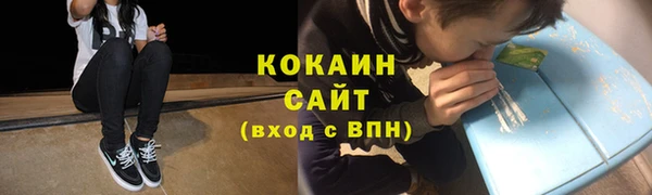 соль ск Инсар