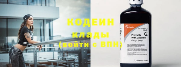 дурь Инта