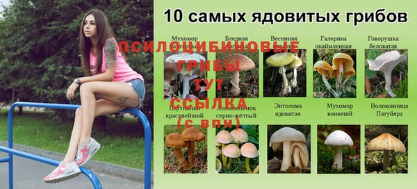 дурь Инта
