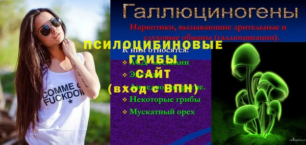 соль ск Инсар