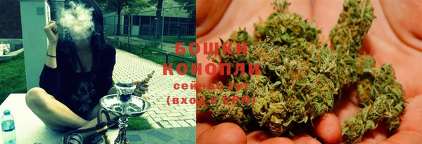 соль ск Инсар