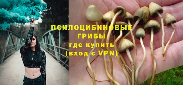 соль ск Инсар
