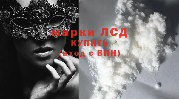 соль ск Инсар