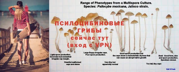 дурь Инта
