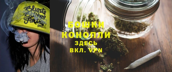 дурь Инта