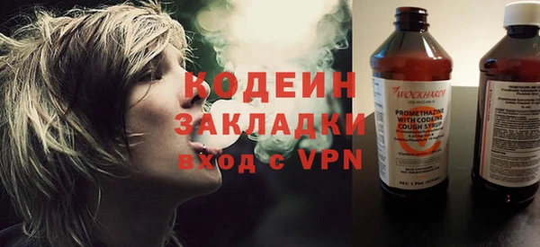 дурь Инта
