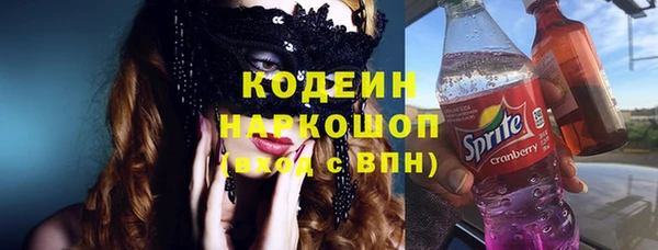 дурь Инта
