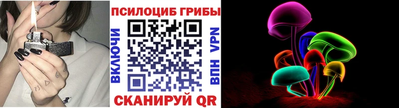 Псилоцибиновые грибы Cubensis  Купить  Вичуга 